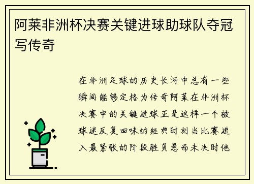 阿莱非洲杯决赛关键进球助球队夺冠写传奇